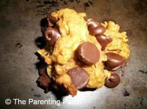 Peanut Butter Pumpkin Chocolate Chip Lactation Cookies