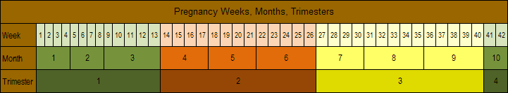 Pregnancy Weeks to Months - How Many Weeks, Months and Trimesters in a  Pregnancy?