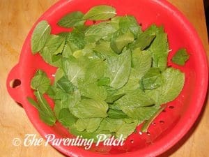 Peppermint Leaves for Peppermint Extract