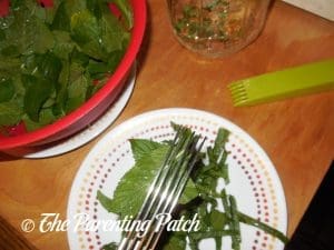 Chopping the Peppermint for Peppermint Extract