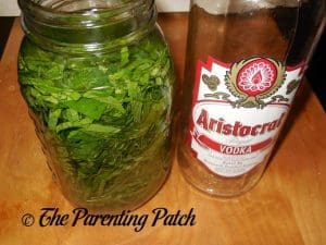 Soaking the Peppermint in Vodka for Peppermint Extract