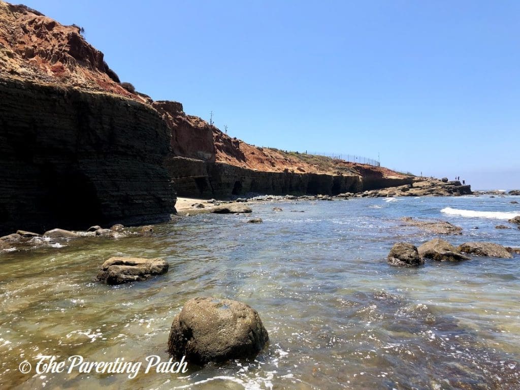 Point Loma Tide Pools at Cabrillo National Monument 2