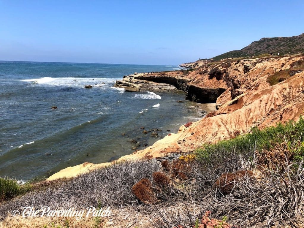 Point Loma Tide Pools at Cabrillo National Monument 4
