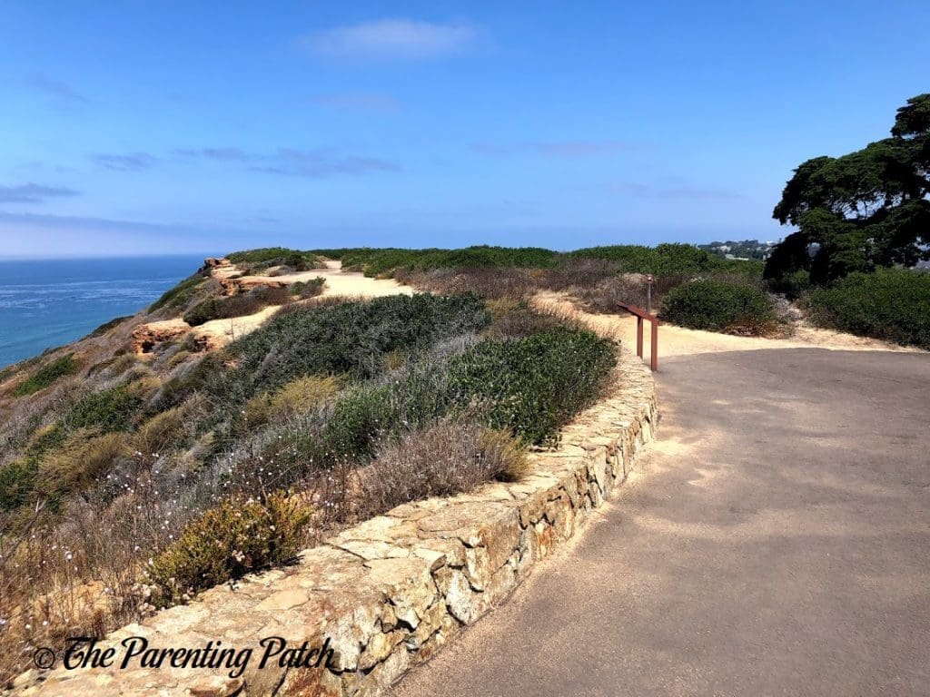 Cliffs at Cabrillo National Monument