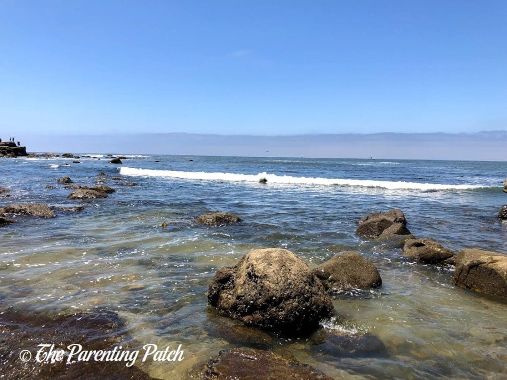 Point Loma Tide Pools at Cabrillo National Monument 1
