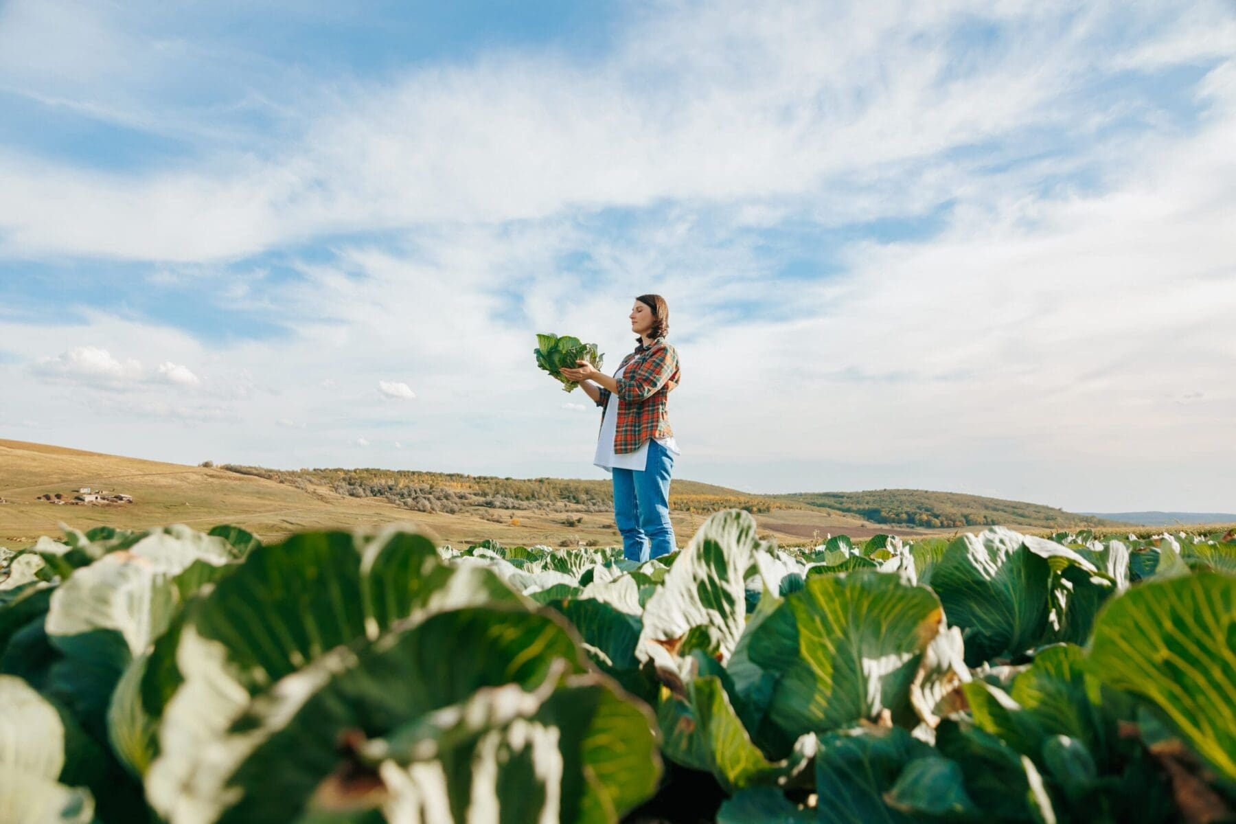 EPA Orders Rare Emergency Ban On Pesticide Over Severe Health Risks For Pregnant Women and Their Children