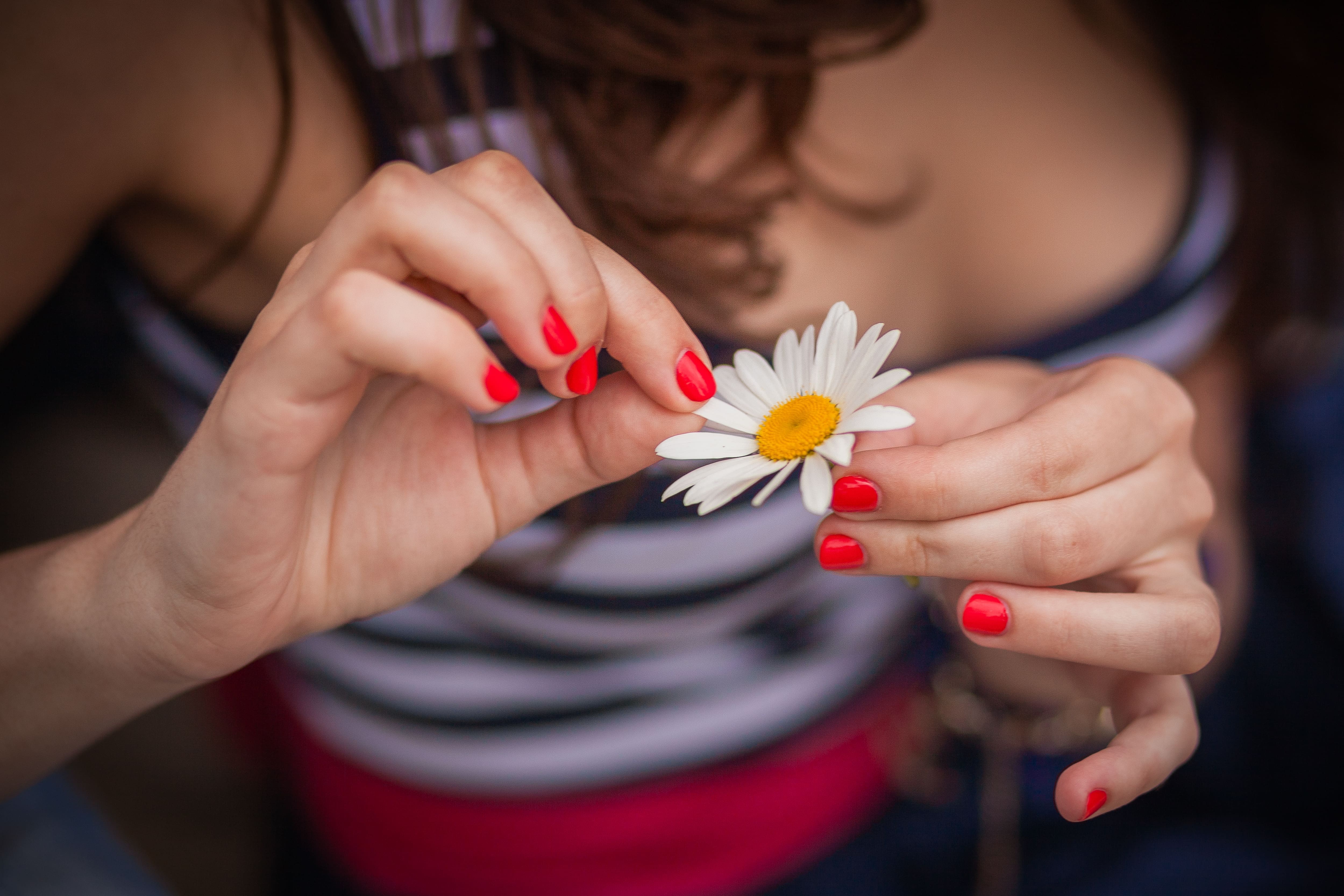 Counting daisy petals