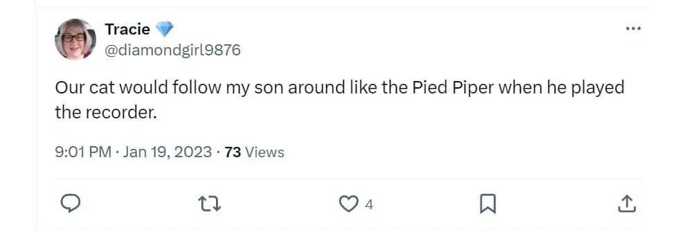 Our cat would follow my son around like the Pied Piper when he played the recorder.