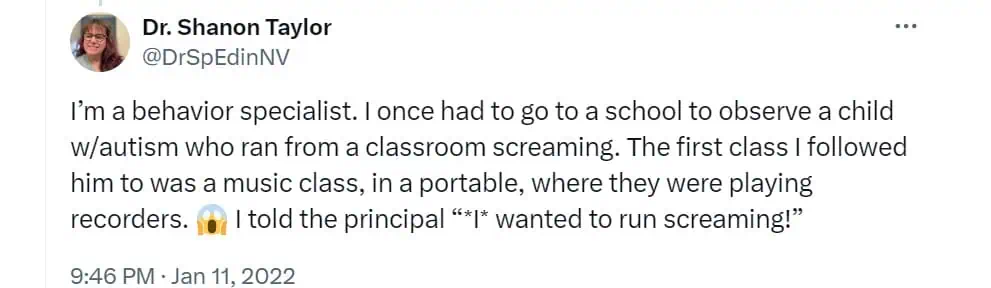 I'm a behavior specialist. I once had to go to a school to observe a child w/autism who ran from a classroom screaming. The first class I followed him to was a music class, in a portable, where they were playing recorders. I told the principal ""I" wanted to run screaming!"
