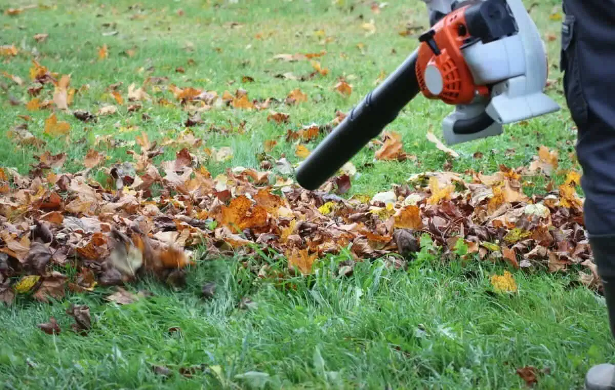 Lawn Debris in Fall and Winter