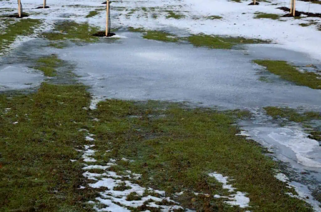 too compact and impermeable soil does not absorb water during rains and floods. a lake was created in the park in the lawn, which gradually infiltrates. damage to the lawn long flooding. water push