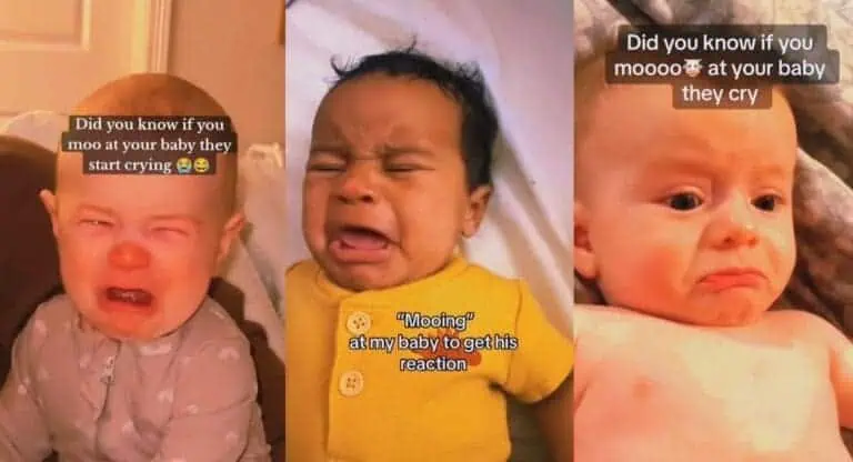Image compilation of babies crying with text overlays explaining that this is their reaction to hearing moo sounds
