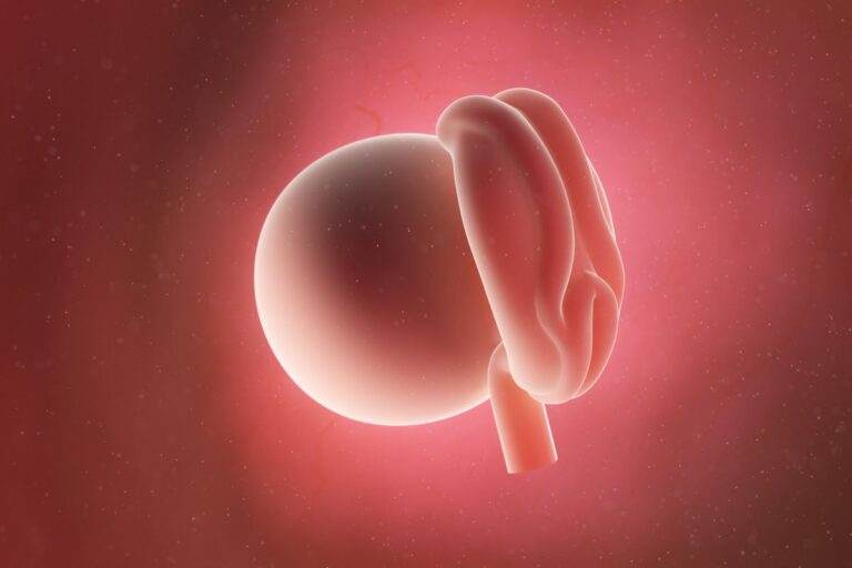 4 Weeks Pregnant: Symptoms, Baby Development & Other Info