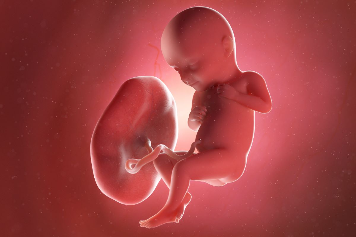 32 Weeks Pregnant Symptoms Baby Development Other Info 32 Weeks Pregnant Symptoms Baby Development Other Info