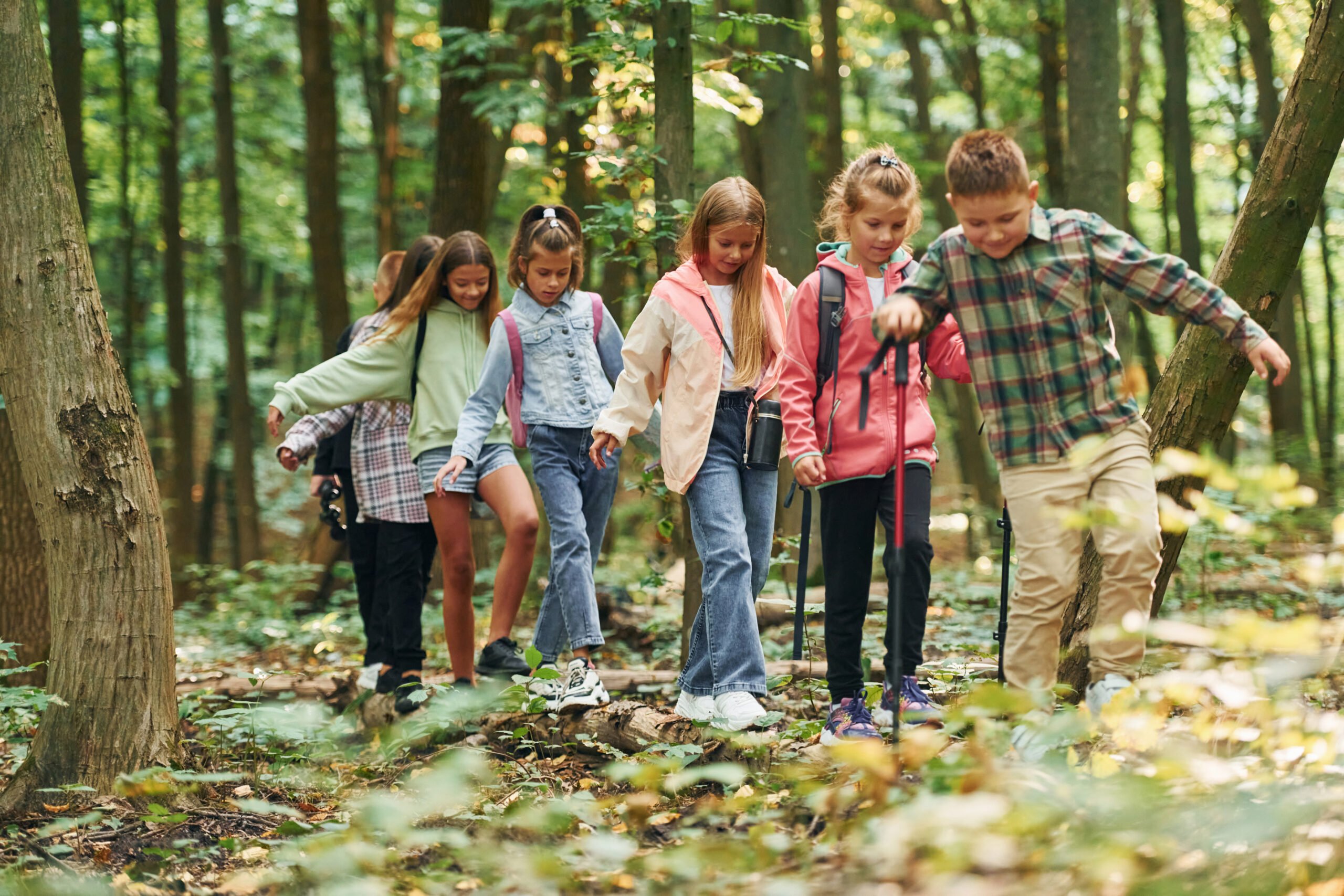 Kids in green forest at summer daytime together