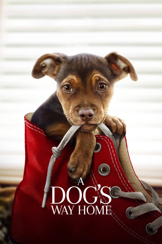 A Dog's Way Home (2019) - Vertical Movie Poster