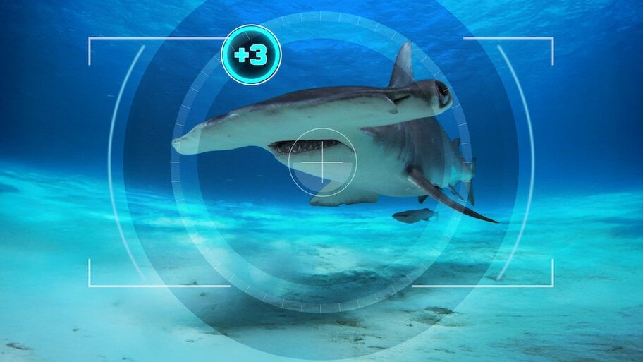 All The Sharks on Netflix July 2025
