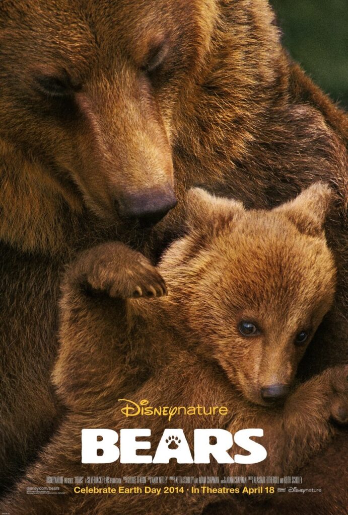 Bears (2013) - Vertical Movie Poster