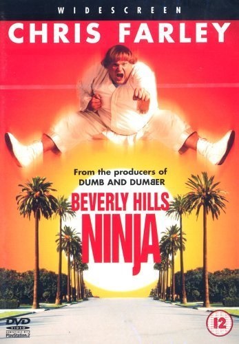 Beverly Hills Ninja (1997) - Vertical Movie Poster