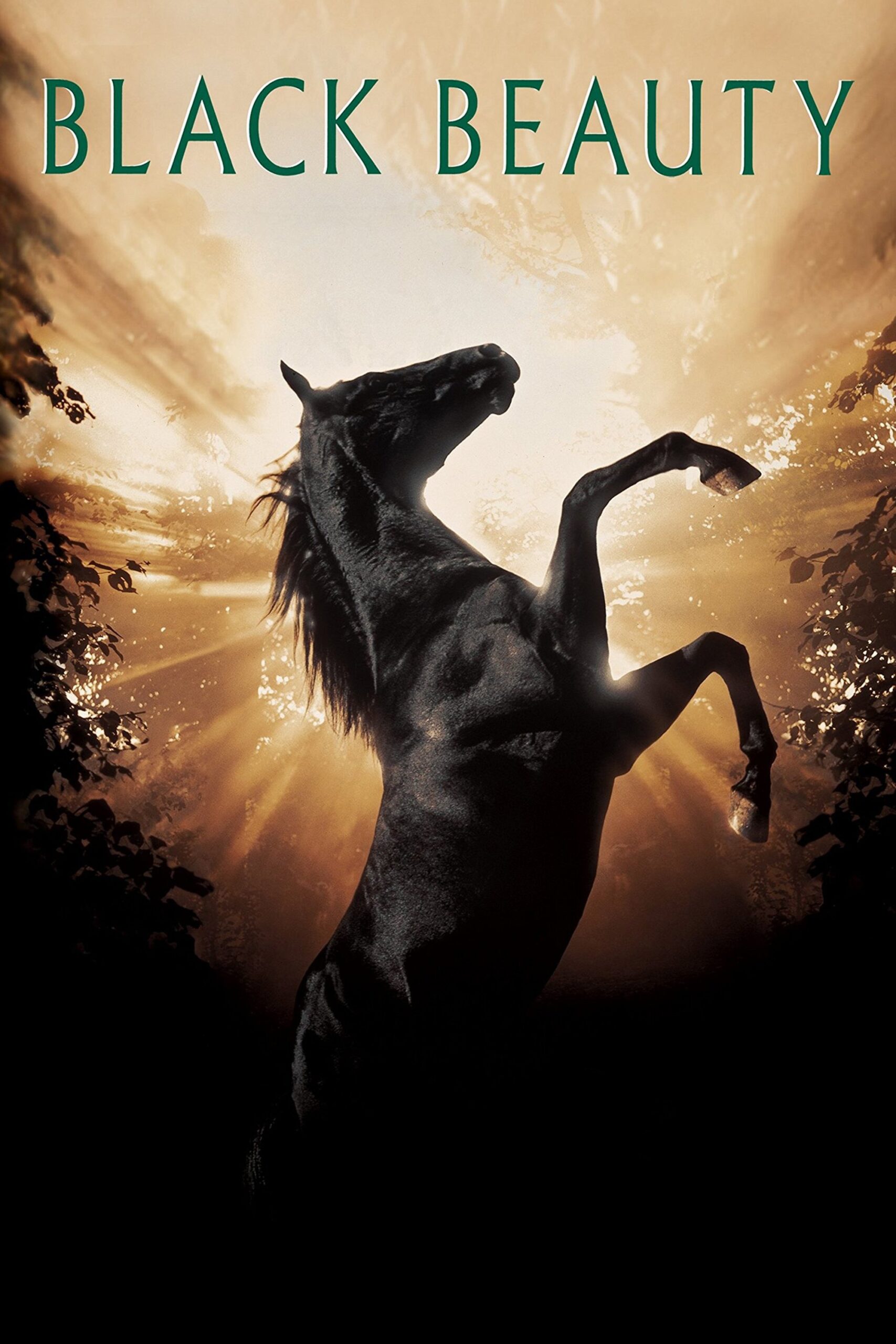 Black Beauty (1994) - Vertical Movie Poster