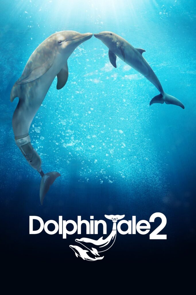 Dolphin Tale 2 (2014) - Vertical Movie Poster