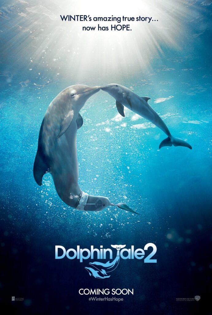 Dolphin Tale 2 (2014) - Vertical Movie Poster