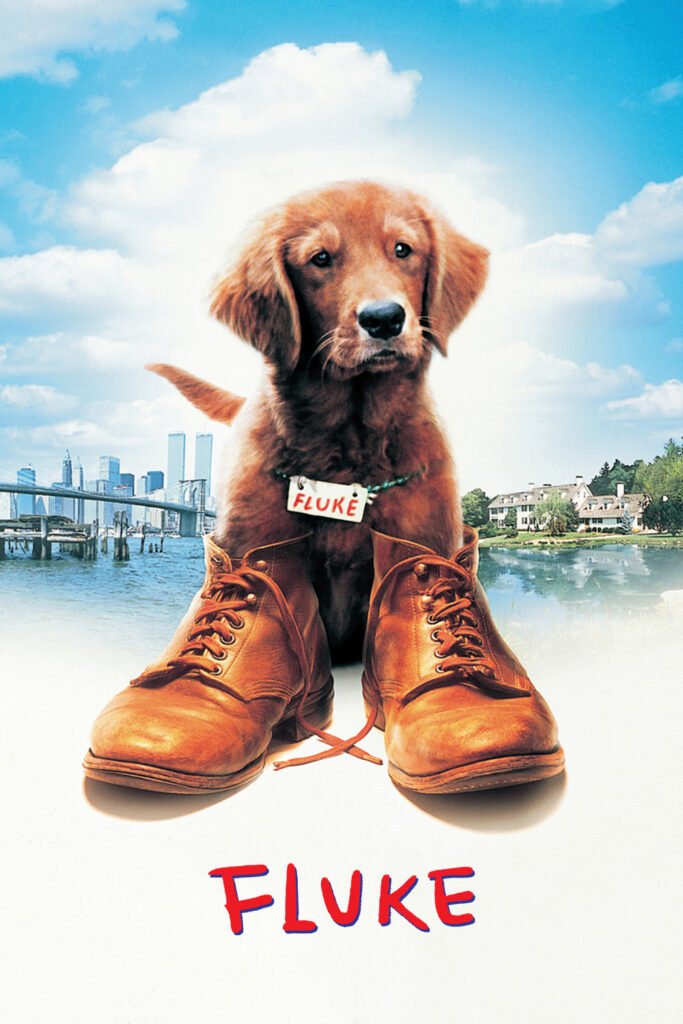 Fluke (1995) - Vertical Movie Poster