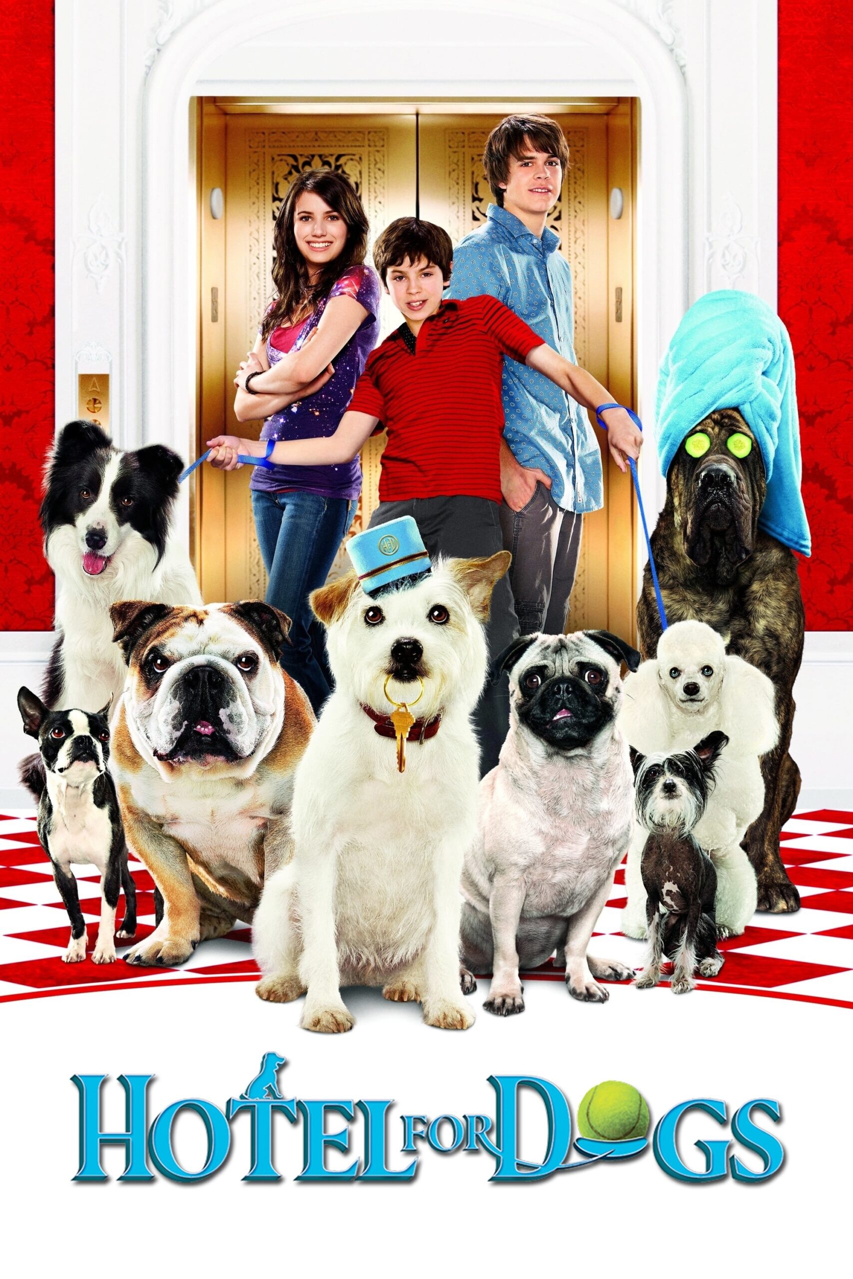 Hotel for Dogs (2009) - Vertical Movie Poster