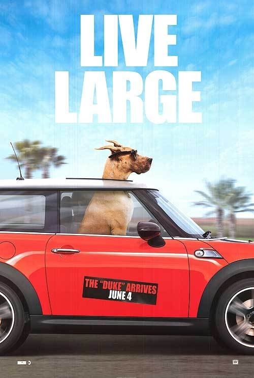 Marmaduke (2021) - Vertical Movie Poster