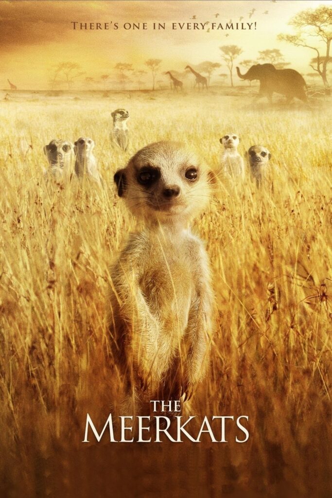 The Meerkats (2008) - Vertical Movie Poster