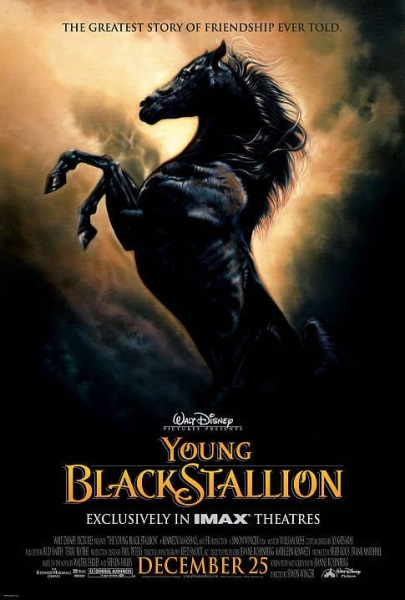 The Young Black Stallion (2003) - Vertical Movie Poster