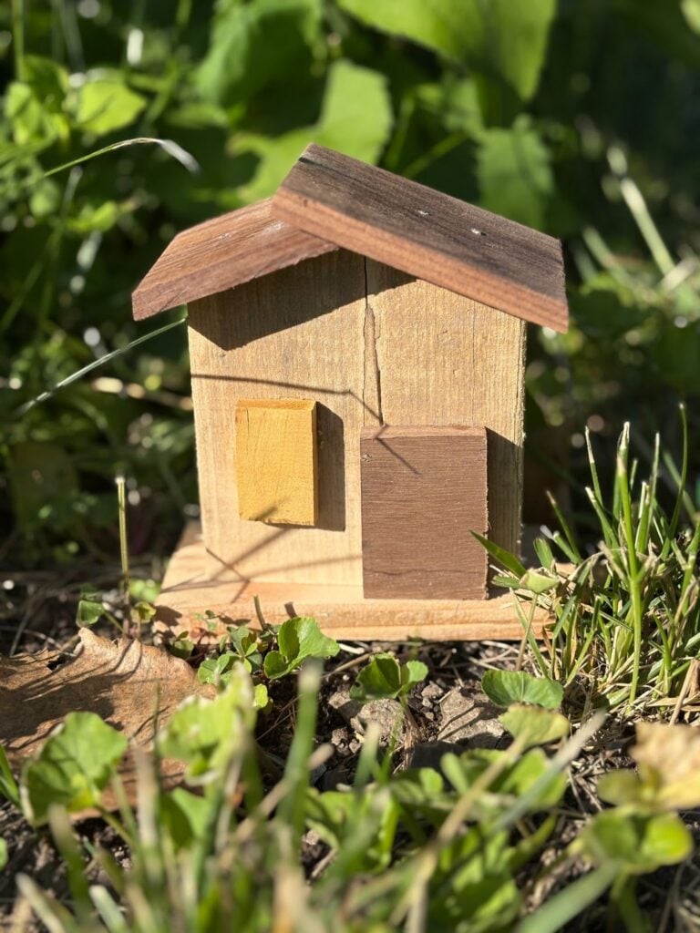 Wooden House Craft