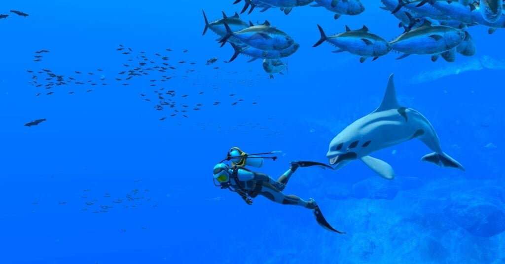Endless Ocean - Back To School Video Game Preparation