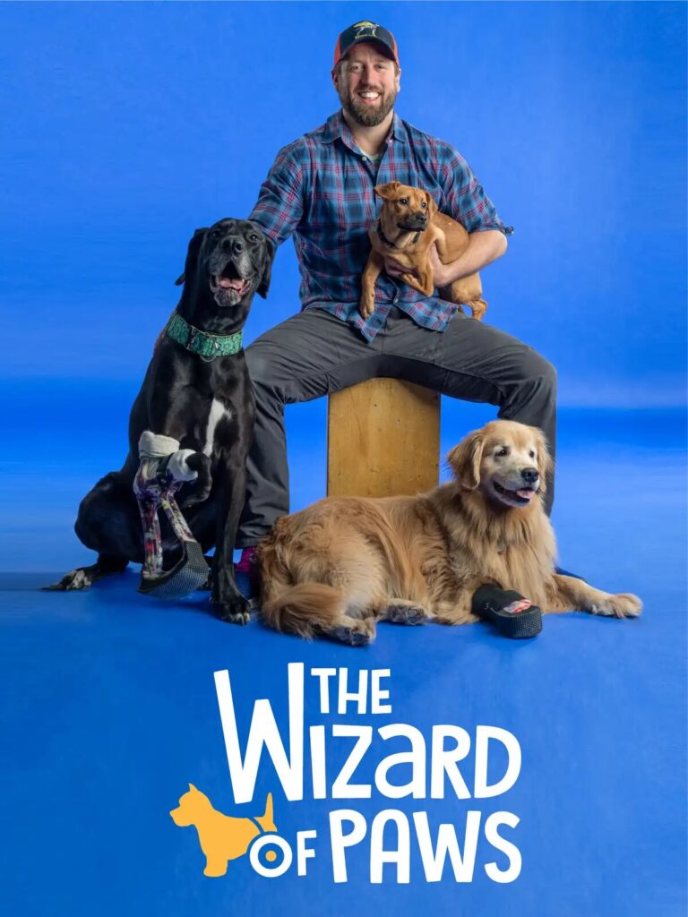 The Wizard of Paws - Vertical TV Show Poster