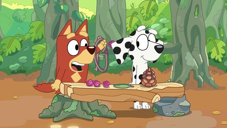 Bluey – Season 1 - Episode 23 – Shops