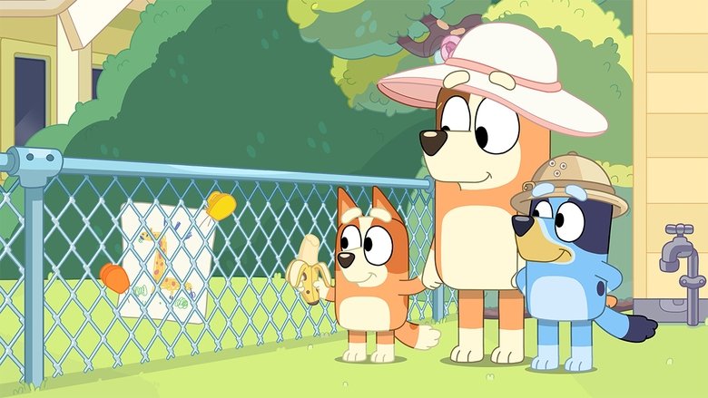 Bluey – Season 1 - Episode 35 – Zoo