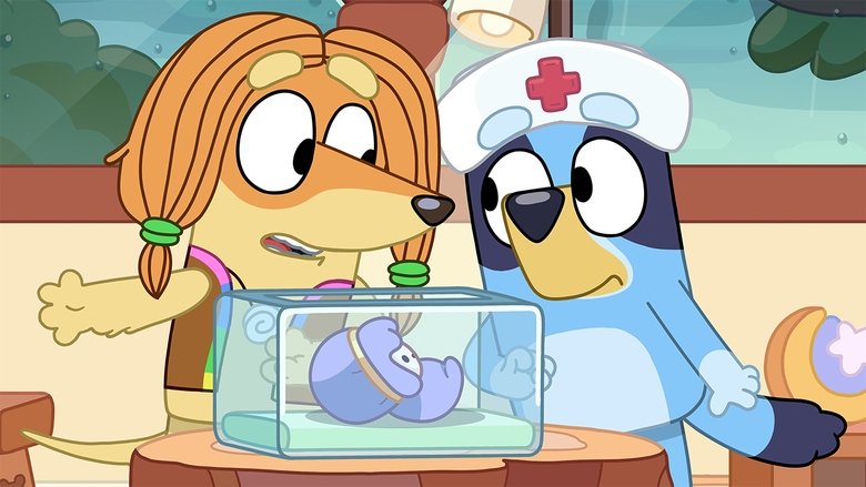 Bluey – Season 1 - Episode 40 – Early Baby