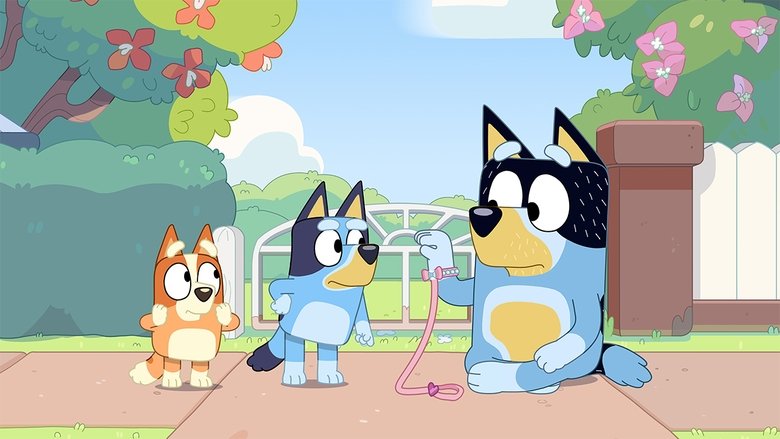 Bluey – Season 1 - Episode 50 – Shaun