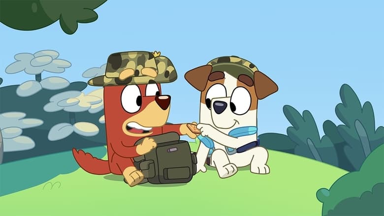 Bluey – Season 2 - Episode 16 – Army