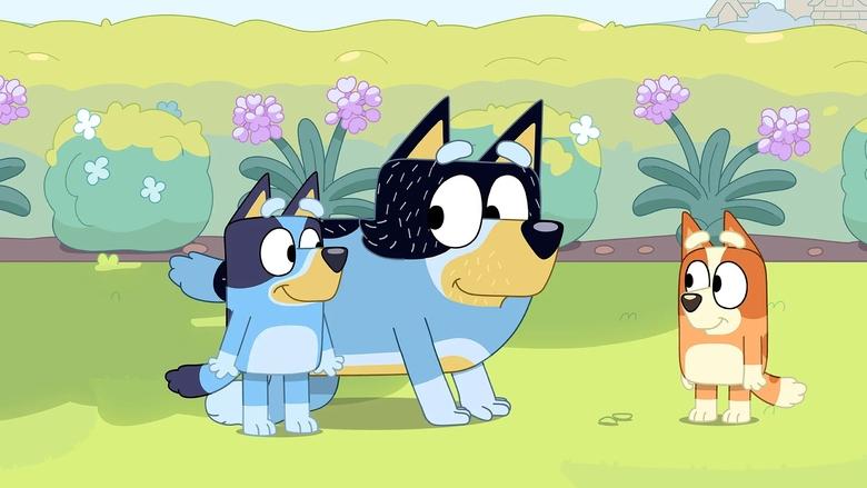 Bluey – Season 3 - Episode 12 – Sheep Dog
