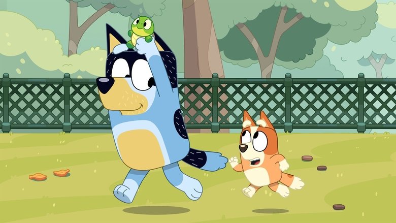 Bluey – Season 3 - Episode 30 – Turtleboy