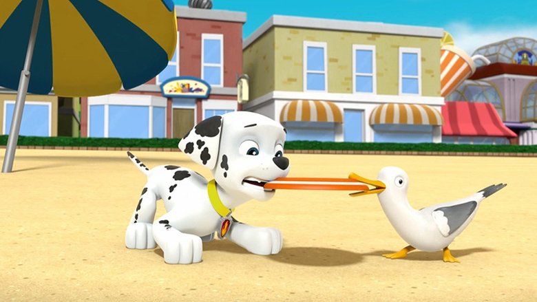 PAW Patrol – Season 3 - Episode 41 – Pups Save a Plane
