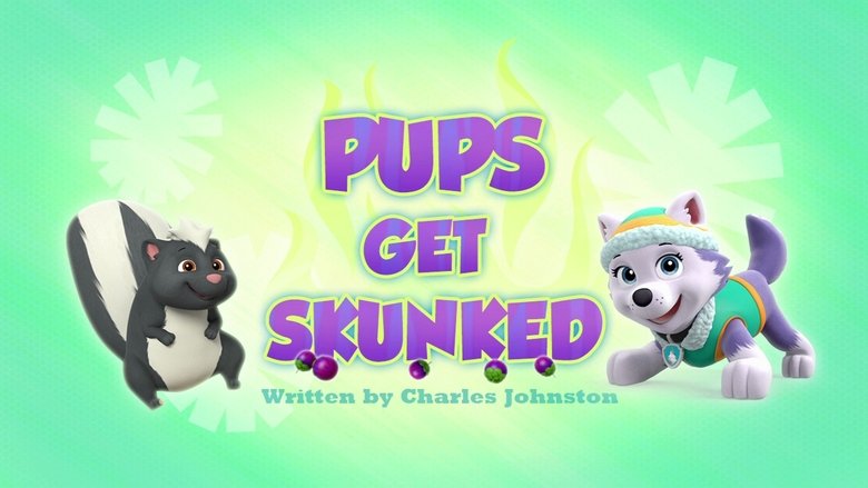 PAW Patrol – Season 3 - Episode 42 – Pups Get Skunked