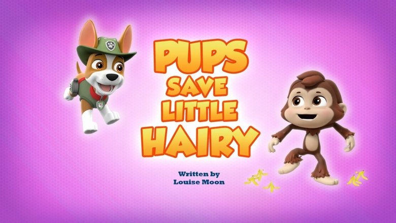 PAW Patrol – Season 7 - Episode 44 – Pups Save Little Hairy