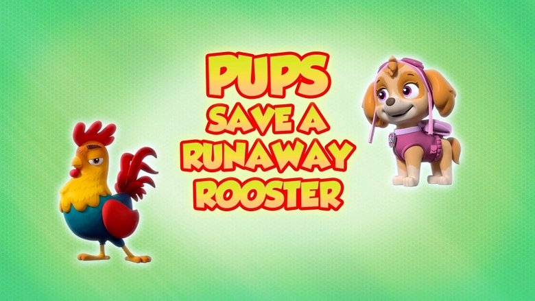 PAW Patrol – Season 8 - Episode 1 – Pups Save a Runaway Rooster