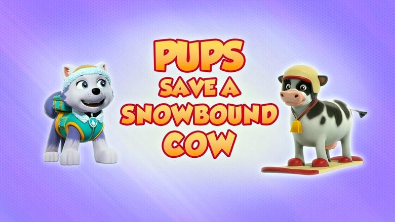 PAW Patrol – Season 8 - Episode 2 – Pups Save a Snowbound Cow