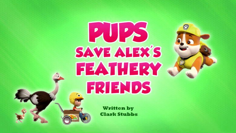 PAW Patrol – Season 9 - Episode 30 – Pups Save Alex's Feathery Friends