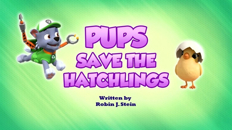 PAW Patrol – Season 9 - Episode 38 – Pups Save the Hatchlings