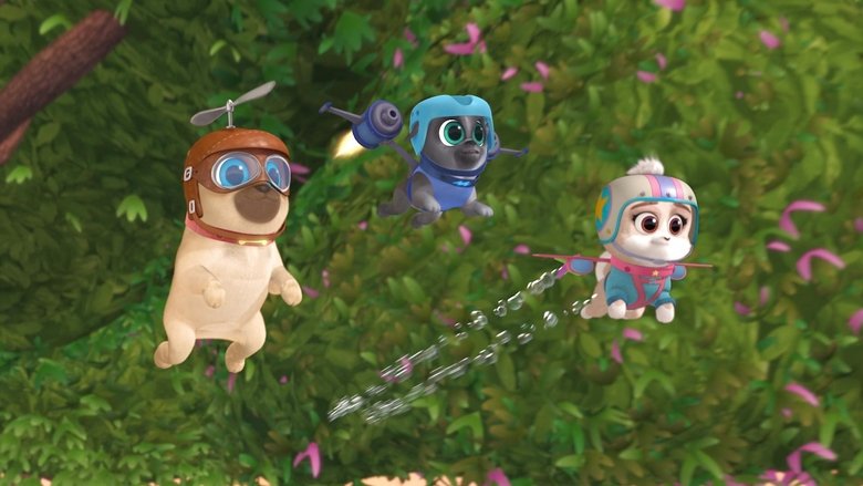 Puppy Dog Pals – Season 2 - Episode 11 – Operation: Dinner