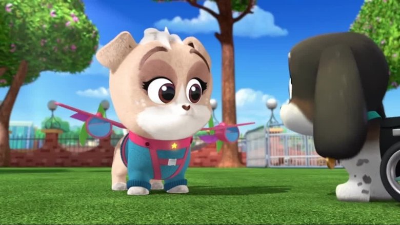 Puppy Dog Pals – Season 2 - Episode 43 – Adopt-A-Palooza
